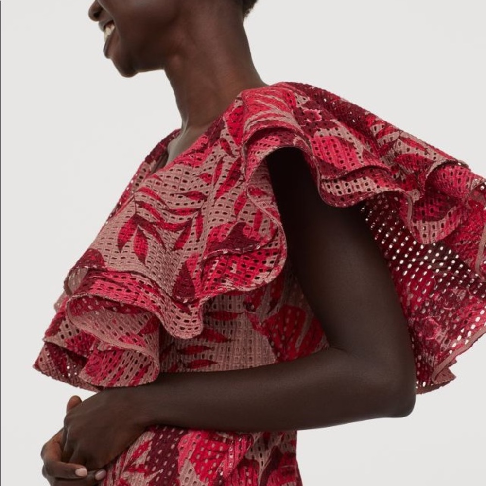 Johanna Ortiz x h&m dress